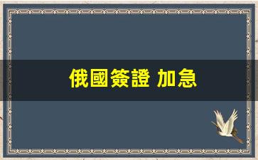 俄國簽證 加急(俄羅斯簽證辦理進度查詢)